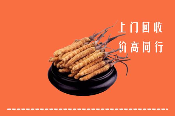 高价求购：莱芜区回收散虫草