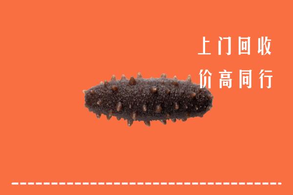 高价求购：莱芜区回收海参