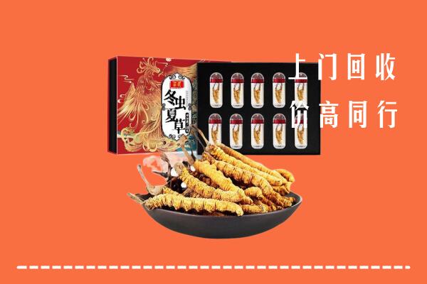 莱芜区回收虫草